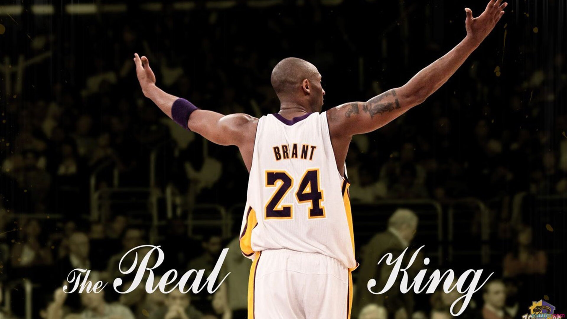 意甲激烈，专家解析战术细节，意甲专家分析